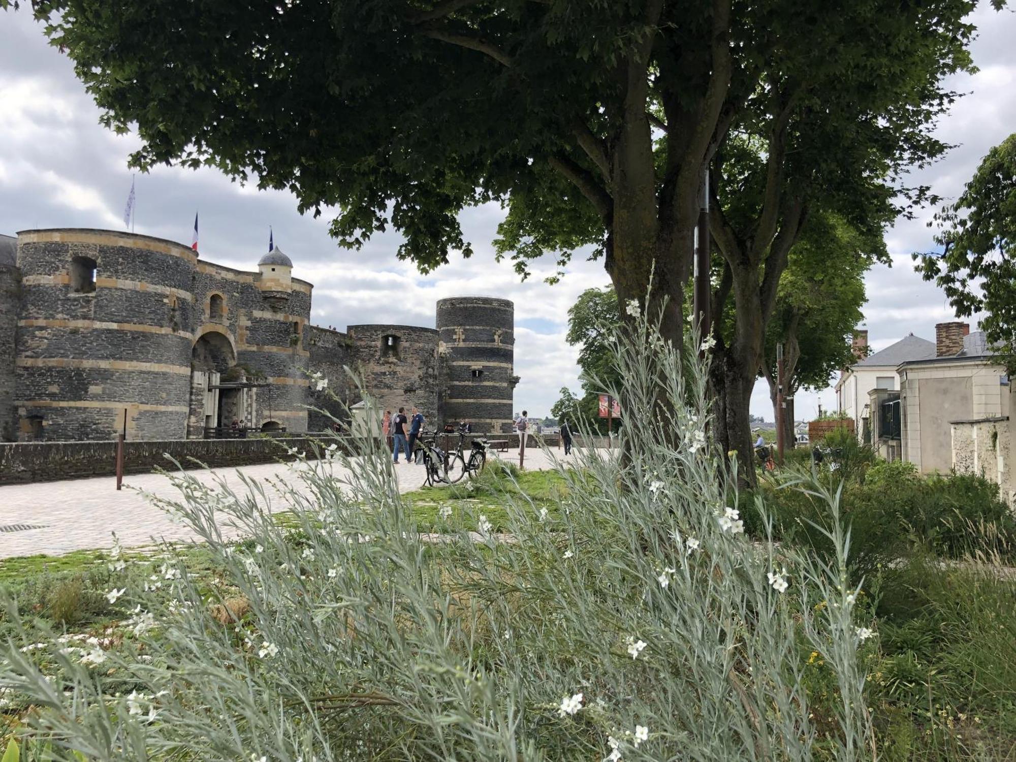 Maison Bout Du Monde Angers Hyper Centre Exteriör bild